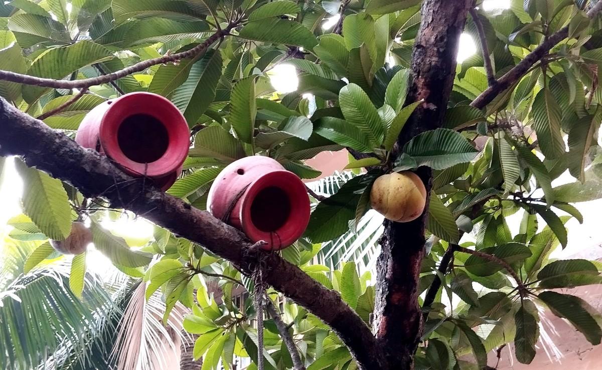 সাদকাহ জারিয়াহ তহবিল