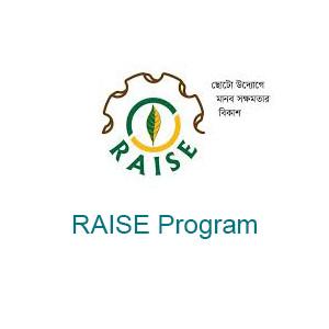 RAISE Project