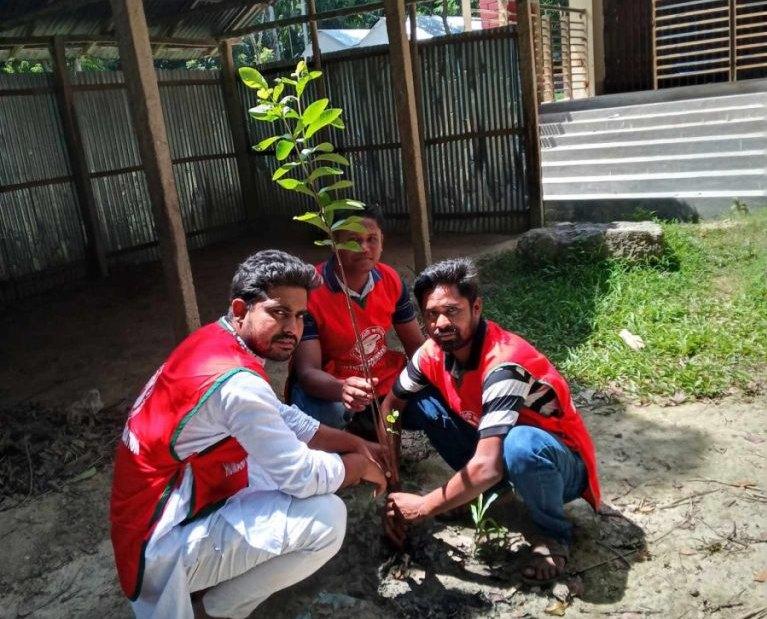 বৃক্ষ রোপন কর্মসূচি